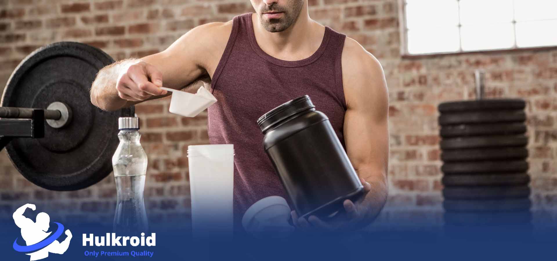 The best muscle building supplements